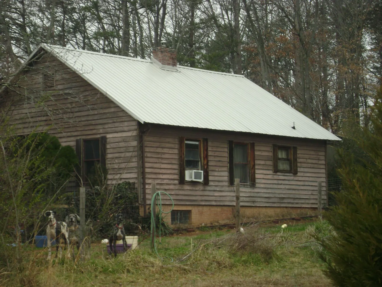 White metal roof on an old wood sided farmhouse, from a Asphalt Shingle Roof Repair job in Ligonier